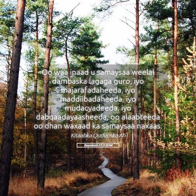 Picture 05 - Baxniintii 27:3 SOM - Oo waa inaad u samaysaa weelal dambaska lagaga - Bible Verse Picture