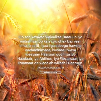 Picture 05 - Baxniintii 28:1 SOM - Oo soo kaxayso walaalkaa Haaruun iyo wiilashiisa, - Bible Verse Picture