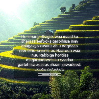 Picture 05 - Baxniintii 28:12 SOM - Oo labada dhagax waa inaad ku dhejisaa eefodka - Bible Verse Picture