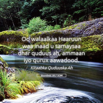 Picture 05 - Baxniintii 28:2 SOM - Oo walaalkaa Haaruun waa inaad u samaysaa dhar - Bible Verse Picture