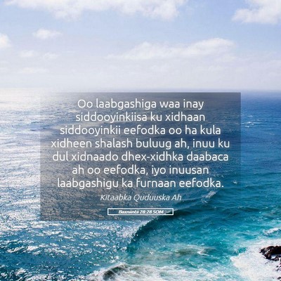 Picture 05 - Baxniintii 28:28 SOM - Oo laabgashiga waa inay siddooyinkiisa ku xidhaan - Bible Verse Picture
