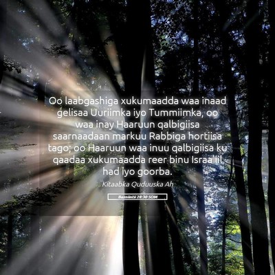 Picture 05 - Baxniintii 28:30 SOM - Oo laabgashiga xukumaadda waa inaad gelisaa - Bible Verse Picture
