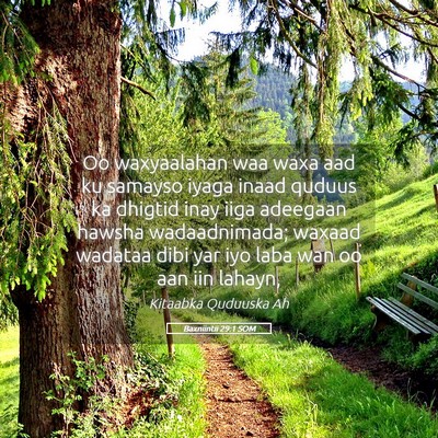 Picture 05 - Baxniintii 29:1 SOM - Oo waxyaalahan waa waxa aad ku samayso iyaga - Bible Verse Picture