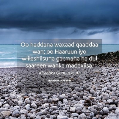 Picture 05 - Baxniintii 29:15 SOM - Oo haddana waxaad qaaddaa wan; oo Haaruun iyo - Bible Verse Picture