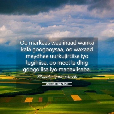 Picture 05 - Baxniintii 29:17 SOM - Oo markaas waa inaad wanka kala googooysaa, oo - Bible Verse Picture