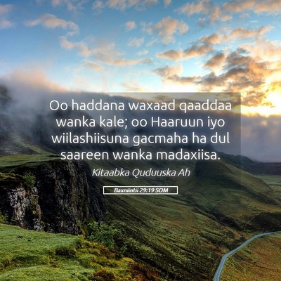 Picture 05 - Baxniintii 29:19 SOM - Oo haddana waxaad qaaddaa wanka kale; oo Haaruun - Bible Verse Picture