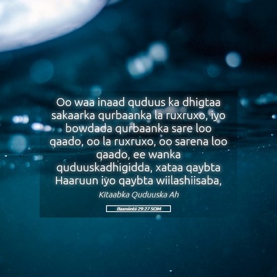 Picture 05 - Baxniintii 29:27 SOM - Oo waa inaad quduus ka dhigtaa sakaarka qurbaanka - Bible Verse Picture