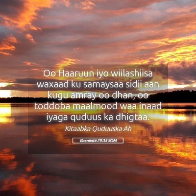 Picture 05 - Baxniintii 29:35 SOM - Oo Haaruun iyo wiilashiisa waxaad ku samaysaa - Bible Verse Picture