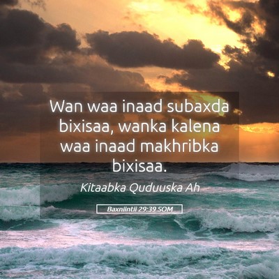 Picture 05 - Baxniintii 29:39 SOM - Wan waa inaad subaxda bixisaa, wanka kalena waa - Bible Verse Picture