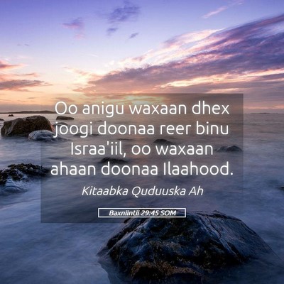 Picture 05 - Baxniintii 29:45 SOM - Oo anigu waxaan dhex joogi doonaa reer binu - Bible Verse Picture