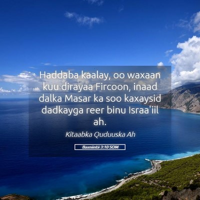 Picture 05 - Baxniintii 3:10 SOM - Haddaba kaalay, oo waxaan kuu dirayaa Fircoon, - Bible Verse Picture