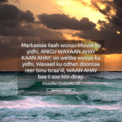 Picture 05 - Baxniintii 3:14 SOM - Markaasaa Ilaah wuxuu Muuse ku yidhi, ANIGU - Bible Verse Picture