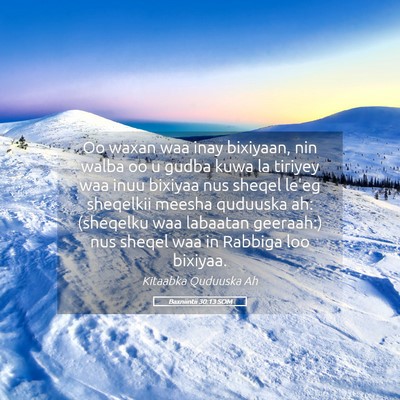 Picture 05 - Baxniintii 30:13 SOM - Oo waxan waa inay bixiyaan, nin walba oo u gudba - Bible Verse Picture