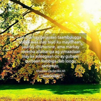 Picture 05 - Baxniintii 30:20 SOM - oo markay gelayaan taambuugga shirka waa inay - Bible Verse Picture