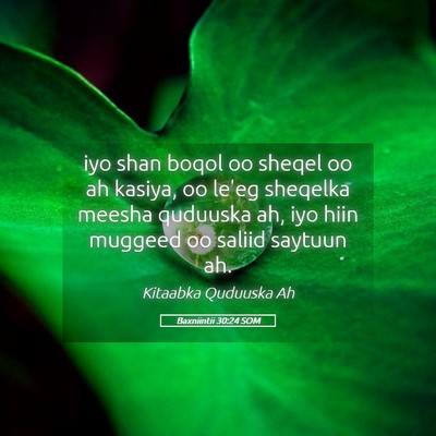 Picture 05 - Baxniintii 30:24 SOM - iyo shan boqol oo sheqel oo ah kasiya, oo le'eg - Bible Verse Picture