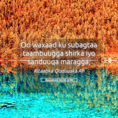 Picture 05 - Baxniintii 30:26 SOM - Oo waxaad ku subagtaa taambuugga shirka iyo - Bible Verse Picture