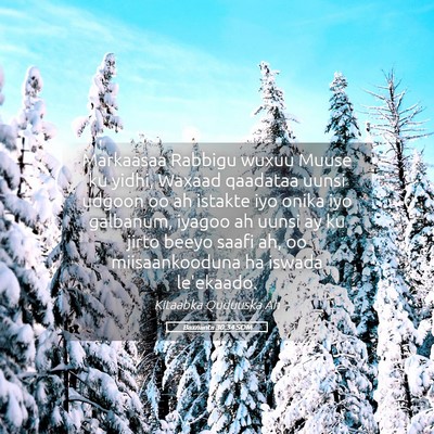 Picture 05 - Baxniintii 30:34 SOM - Markaasaa Rabbigu wuxuu Muuse ku yidhi, Waxaad - Bible Verse Picture