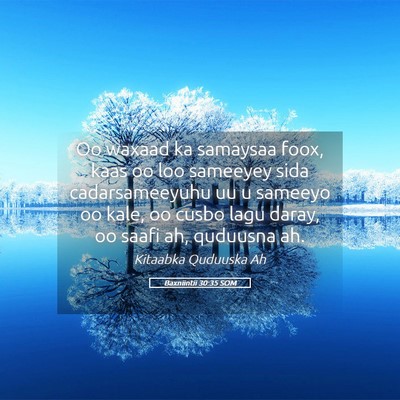 Picture 05 - Baxniintii 30:35 SOM - Oo waxaad ka samaysaa foox, kaas oo loo sameeyey - Bible Verse Picture