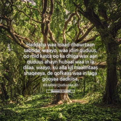 Picture 05 - Baxniintii 31:14 SOM - Haddaba waa inaad dhawrtaan sabtida, waayo, waa - Bible Verse Picture