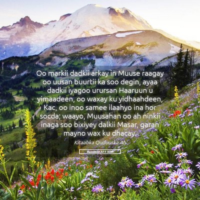Picture 05 - Baxniintii 32:1 SOM - Oo markii dadkii arkay in Muuse raagay oo uusan - Bible Verse Picture