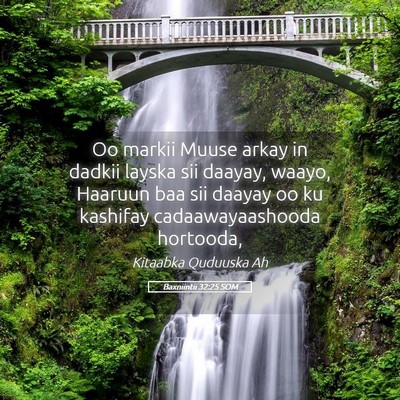 Picture 05 - Baxniintii 32:25 SOM - Oo markii Muuse arkay in dadkii layska sii - Bible Verse Picture