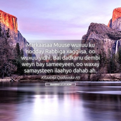 Picture 05 - Baxniintii 32:31 SOM - Markaasaa Muuse wuxuu ku noqday Rabbiga xaggiisa, - Bible Verse Picture
