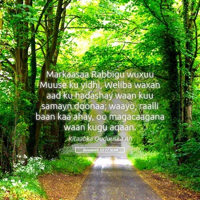 Picture 05 - Baxniintii 33:17 SOM - Markaasaa Rabbigu wuxuu Muuse ku yidhi, Weliba - Bible Verse Picture