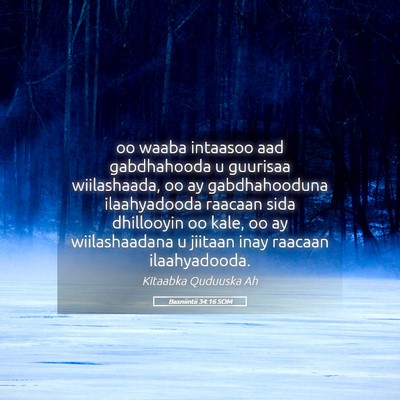 Picture 05 - Baxniintii 34:16 SOM - oo waaba intaasoo aad gabdhahooda u guurisaa - Bible Verse Picture