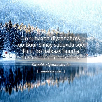 Picture 05 - Baxniintii 34:2 SOM - Oo subaxda diyaar ahow, oo Buur Siinay subaxda - Bible Verse Picture