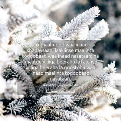 Picture 05 - Baxniintii 34:21 SOM - Lix maalmood waa inaad shaqaysaan, laakiinse - Bible Verse Picture