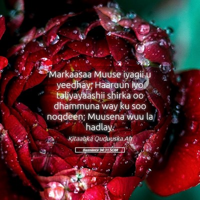 Picture 05 - Baxniintii 34:31 SOM - Markaasaa Muuse iyagii u yeedhay; Haaruun iyo - Bible Verse Picture
