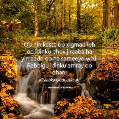 Picture 05 - Baxniintii 35:10 SOM - Oo nin kasta oo xigmad leh oo idinku dhex jiraaba - Bible Verse Picture