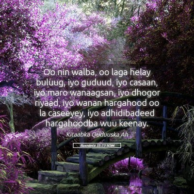 Picture 05 - Baxniintii 35:23 SOM - Oo nin walba, oo laga helay buluug, iyo guduud, - Bible Verse Picture