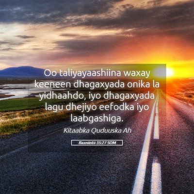 Picture 05 - Baxniintii 35:27 SOM - Oo taliyayaashiina waxay keeneen dhagaxyada onika - Bible Verse Picture