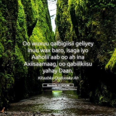 Picture 05 - Baxniintii 35:34 SOM - Oo wuxuu qalbigiisii geliyey inuu wax baro, isaga - Bible Verse Picture