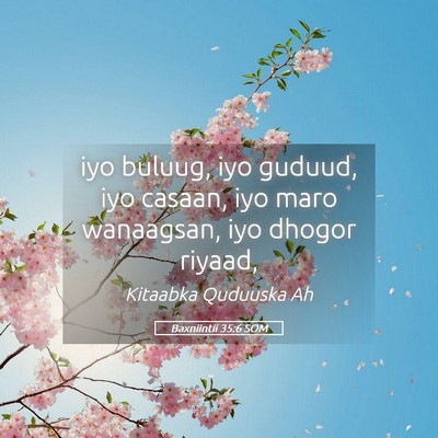 Picture 05 - Baxniintii 35:6 SOM - iyo buluug, iyo guduud, iyo casaan, iyo maro - Bible Verse Picture