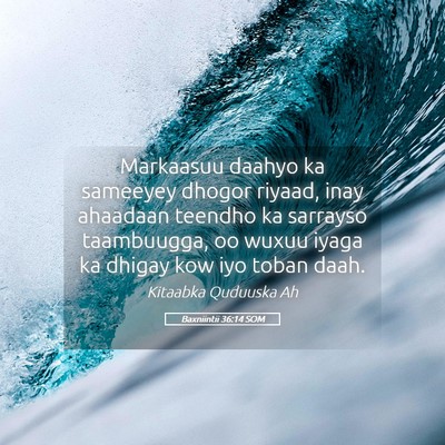 Picture 05 - Baxniintii 36:14 SOM - Markaasuu daahyo ka sameeyey dhogor riyaad, inay - Bible Verse Picture