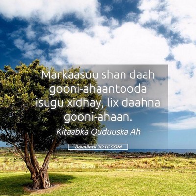 Picture 05 - Baxniintii 36:16 SOM - Markaasuu shan daah gooni-ahaantooda isugu - Bible Verse Picture