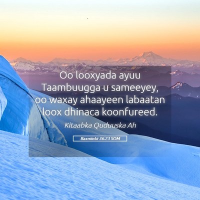 Picture 05 - Baxniintii 36:23 SOM - Oo looxyada ayuu Taambuugga u sameeyey, oo waxay - Bible Verse Picture