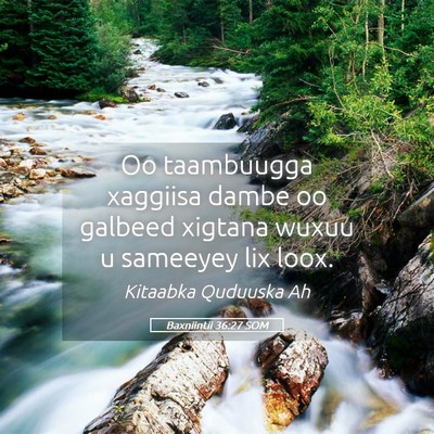 Picture 05 - Baxniintii 36:27 SOM - Oo taambuugga xaggiisa dambe oo galbeed xigtana - Bible Verse Picture