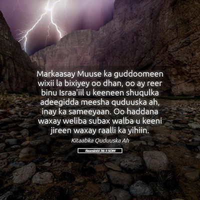 Picture 05 - Baxniintii 36:3 SOM - Markaasay Muuse ka guddoomeen wixii la bixiyey oo - Bible Verse Picture