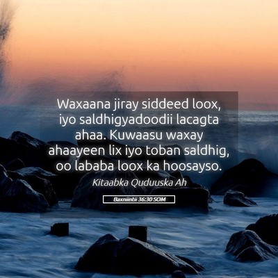 Picture 05 - Baxniintii 36:30 SOM - Waxaana jiray siddeed loox, iyo saldhigyadoodii - Bible Verse Picture