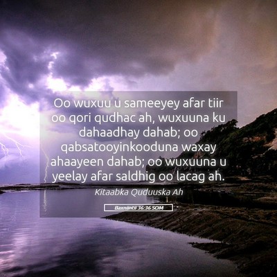 Picture 05 - Baxniintii 36:36 SOM - Oo wuxuu u sameeyey afar tiir oo qori qudhac ah, - Bible Verse Picture