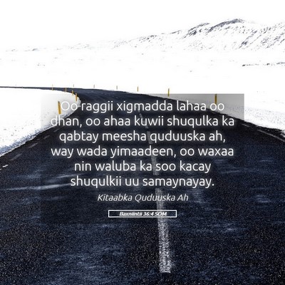 Picture 05 - Baxniintii 36:4 SOM - Oo raggii xigmadda lahaa oo dhan, oo ahaa kuwii - Bible Verse Picture
