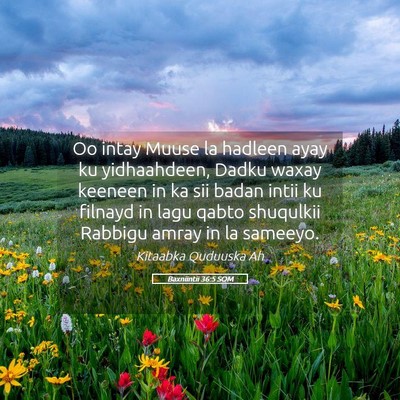Picture 05 - Baxniintii 36:5 SOM - Oo intay Muuse la hadleen ayay ku yidhaahdeen, - Bible Verse Picture