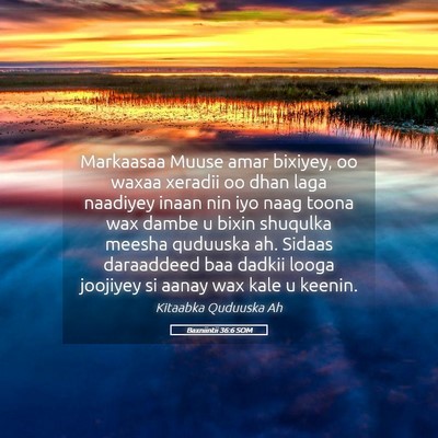 Picture 05 - Baxniintii 36:6 SOM - Markaasaa Muuse amar bixiyey, oo waxaa xeradii oo - Bible Verse Picture
