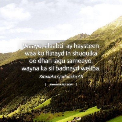 Picture 05 - Baxniintii 36:7 SOM - Waayo, alaabtii ay haysteen waa ku filnayd in - Bible Verse Picture