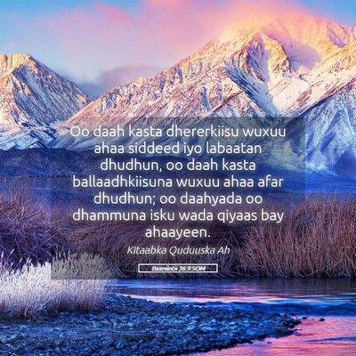 Picture 05 - Baxniintii 36:9 SOM - Oo daah kasta dhererkiisu wuxuu ahaa siddeed iyo - Bible Verse Picture