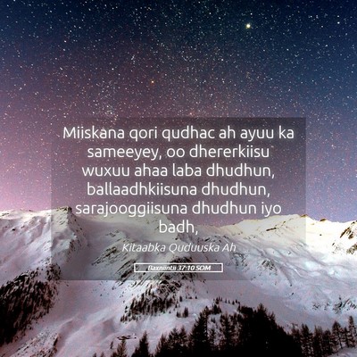 Picture 05 - Baxniintii 37:10 SOM - Miiskana qori qudhac ah ayuu ka sameeyey, oo - Bible Verse Picture