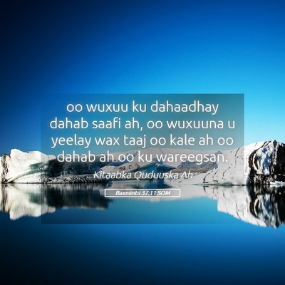 Picture 05 - Baxniintii 37:11 SOM - oo wuxuu ku dahaadhay dahab saafi ah, oo wuxuuna - Bible Verse Picture